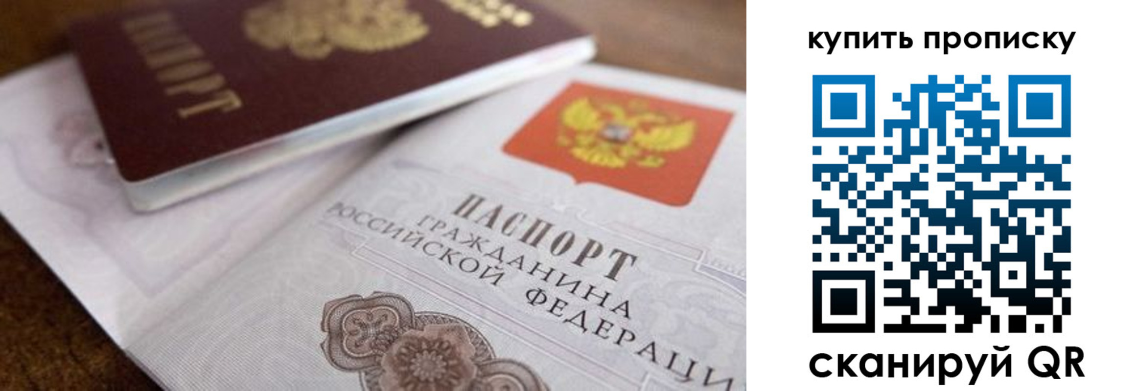 прописка гарантия в Березниках